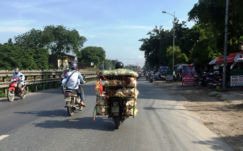 Thực phẩm bẩn gia tăng, ngày càng tinh vi ảnh 1